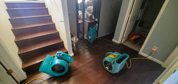 Best Flooded house restoration  in Oak Island, NC