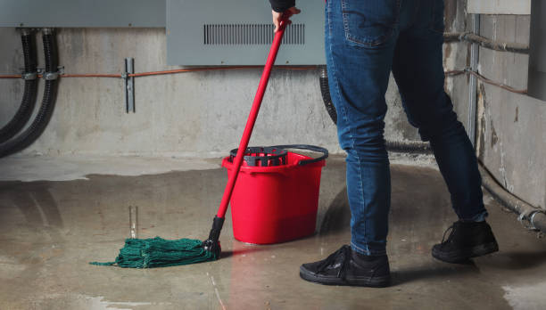 Best Professional water damage repair  in Oak Island, NC