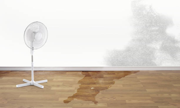 Best Water damage restoration insurance claims  in Oak Island, NC