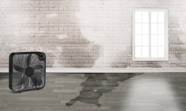 Trusted Oak Island, NC Water damage restoration Experts