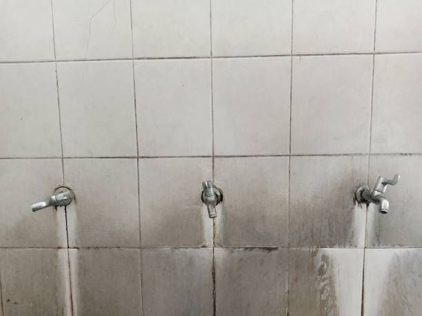 Best Water damage restoration services  in Oak Island, NC