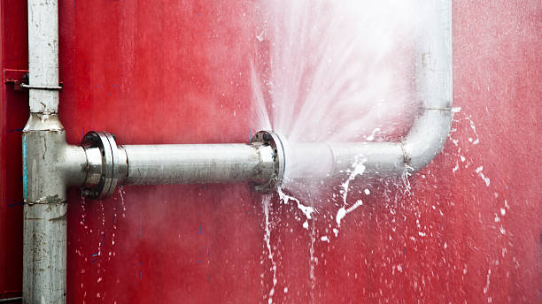 Best Mold removal after water damage  in Oak Island, NC